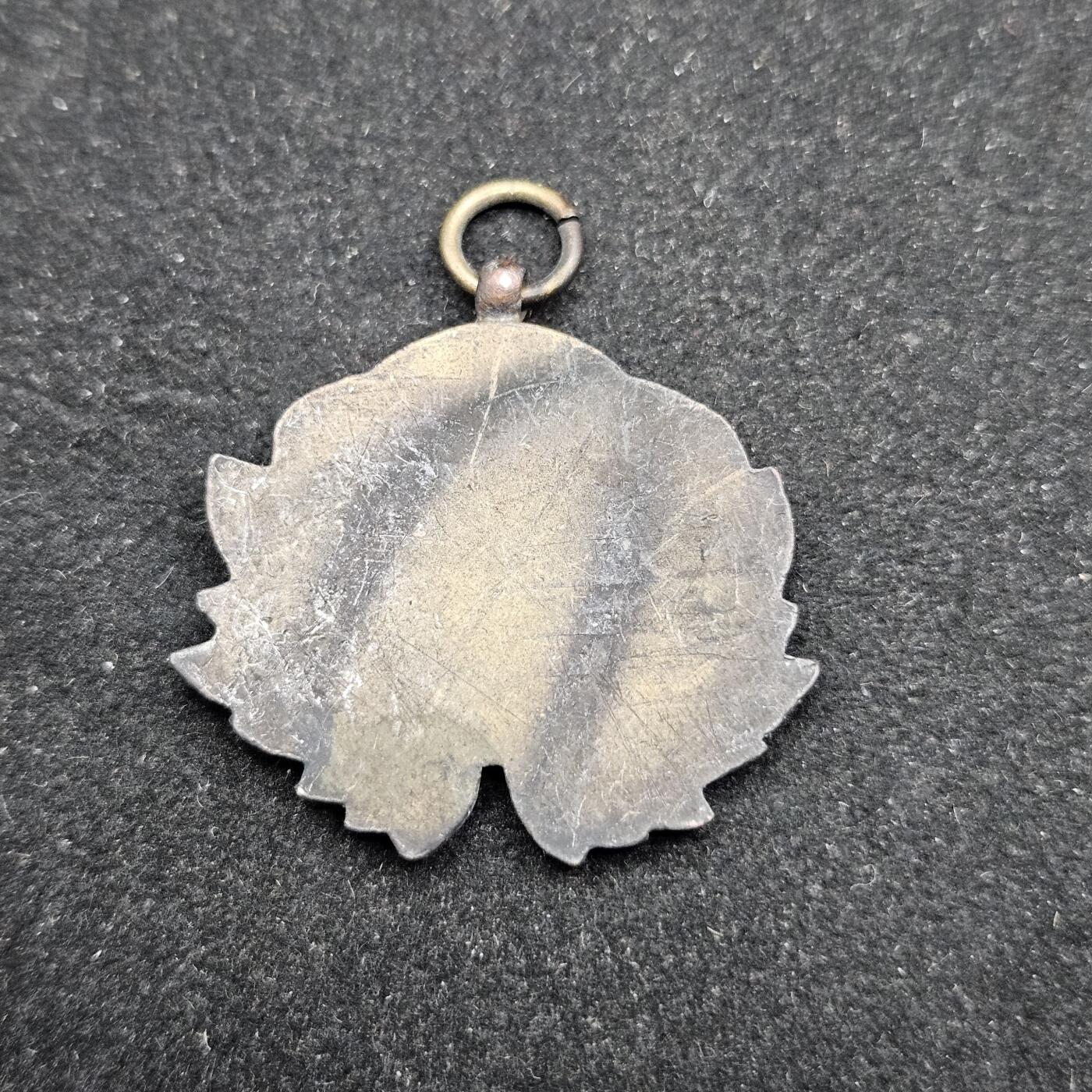 0元起拍勋章 第326期 咸鱼国勋章拍卖专场 1月18日（周日）下午6：00开始