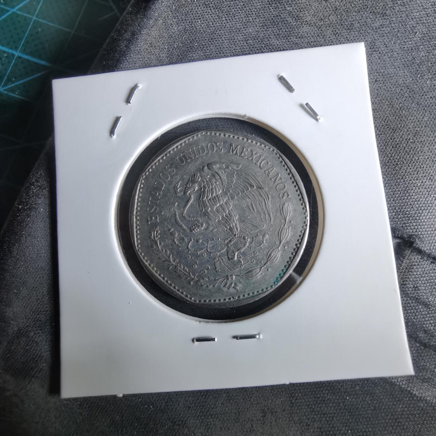 沼泽如烟--第961场