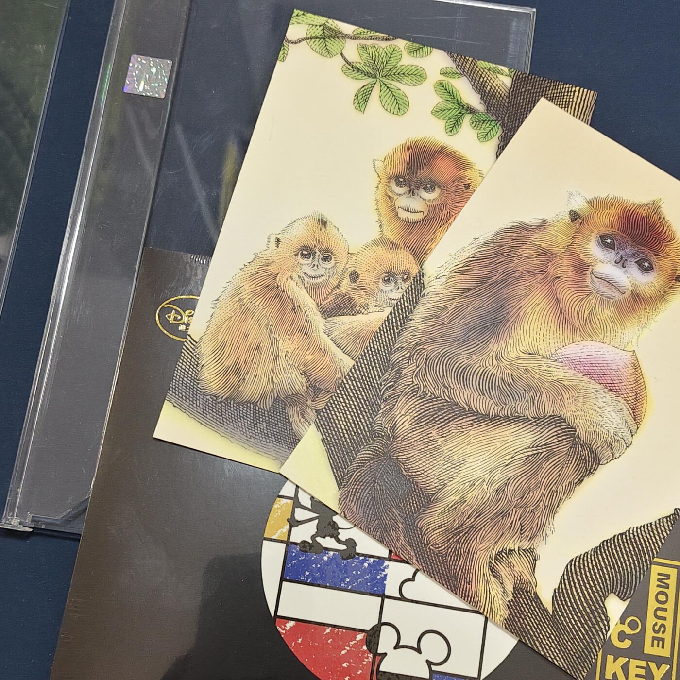 【全场包邮】纯粹捡漏拍495场-持续更新中 【邮票】官方卡册装迪士尼邮票及猴年原封邮资明信片2盒一组