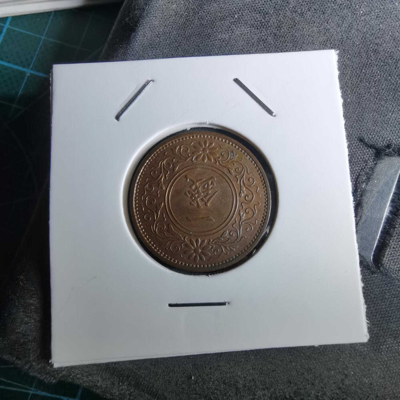 沼泽如烟--第962场