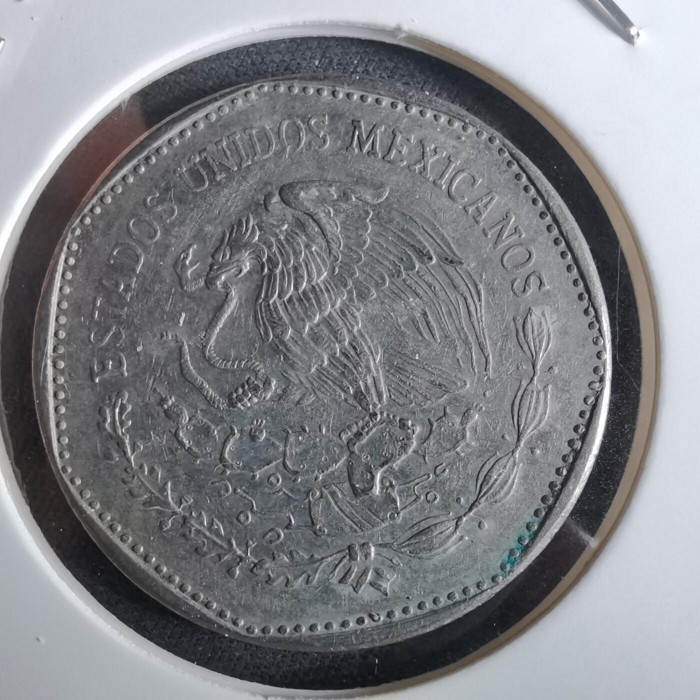 沼泽如烟--第961场