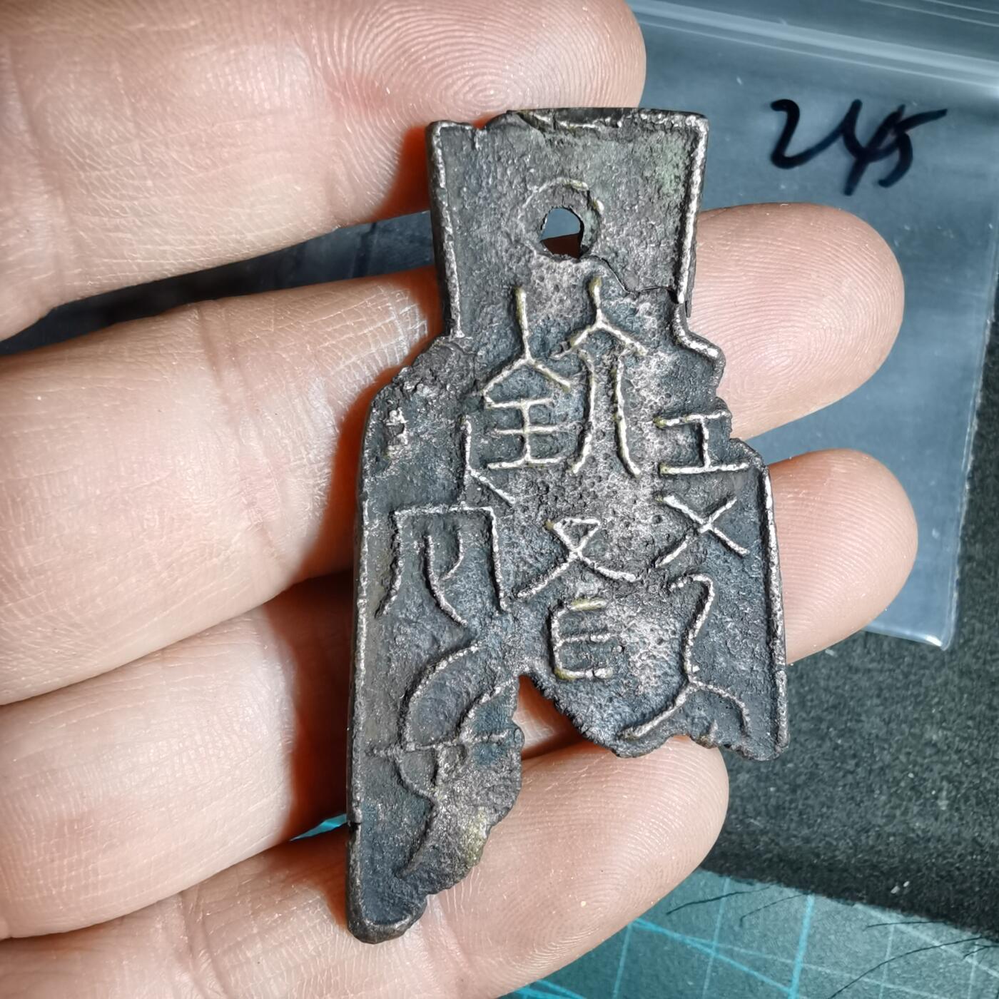 沼泽如烟--第962场 标本