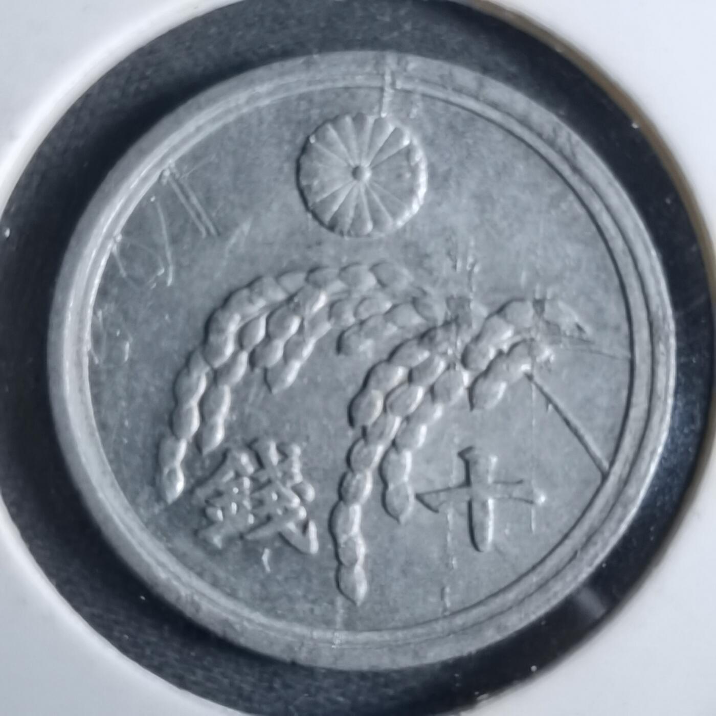 沼泽如烟--第962场