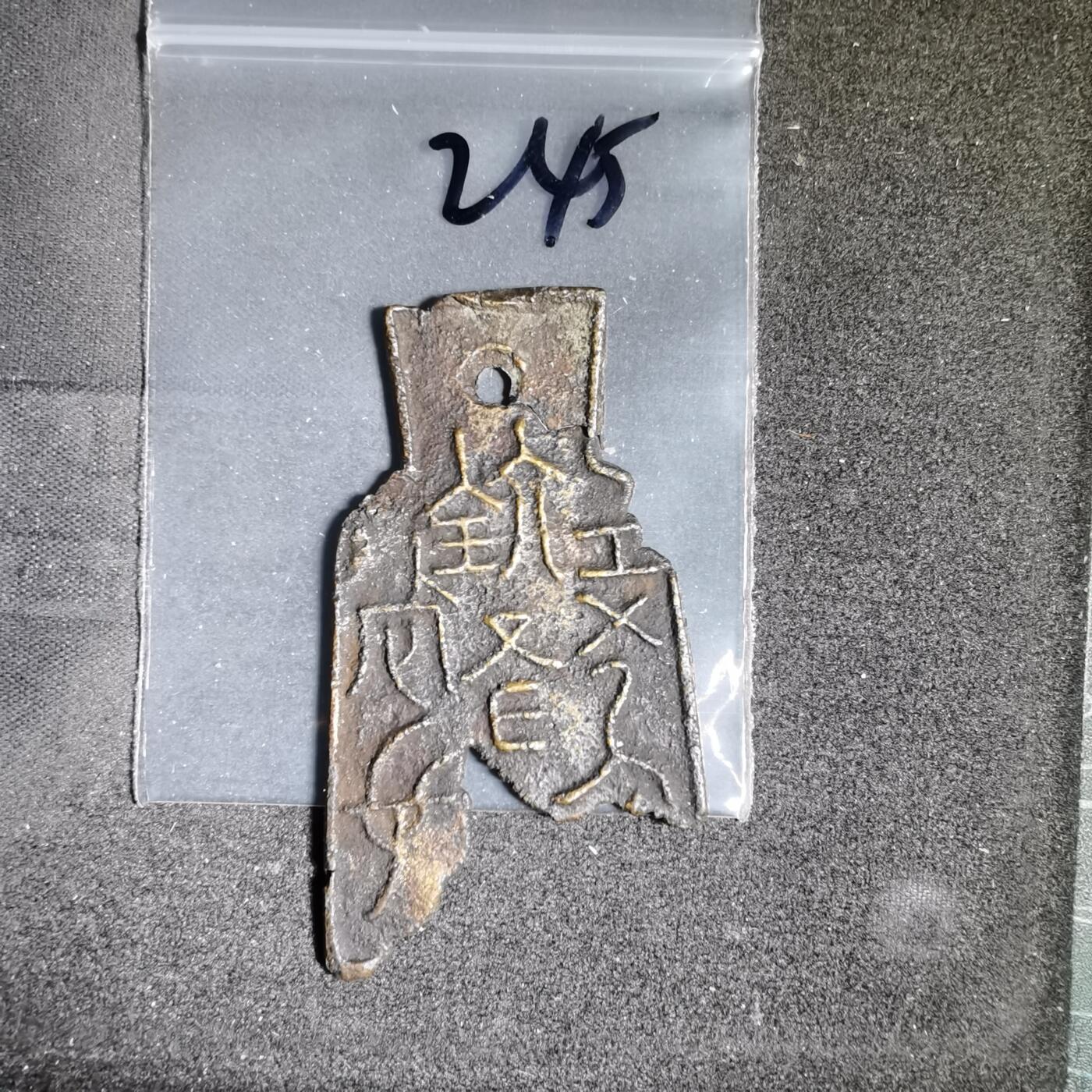 沼泽如烟--第962场 标本