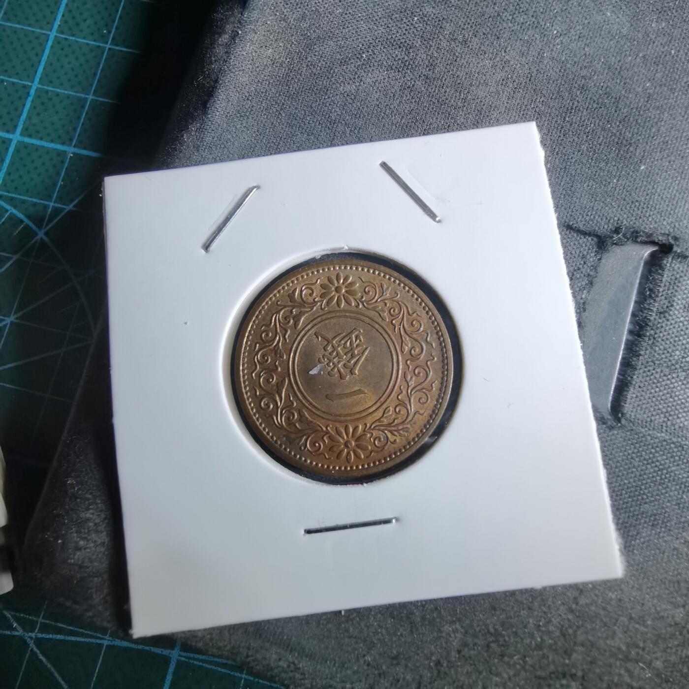 沼泽如烟--第962场