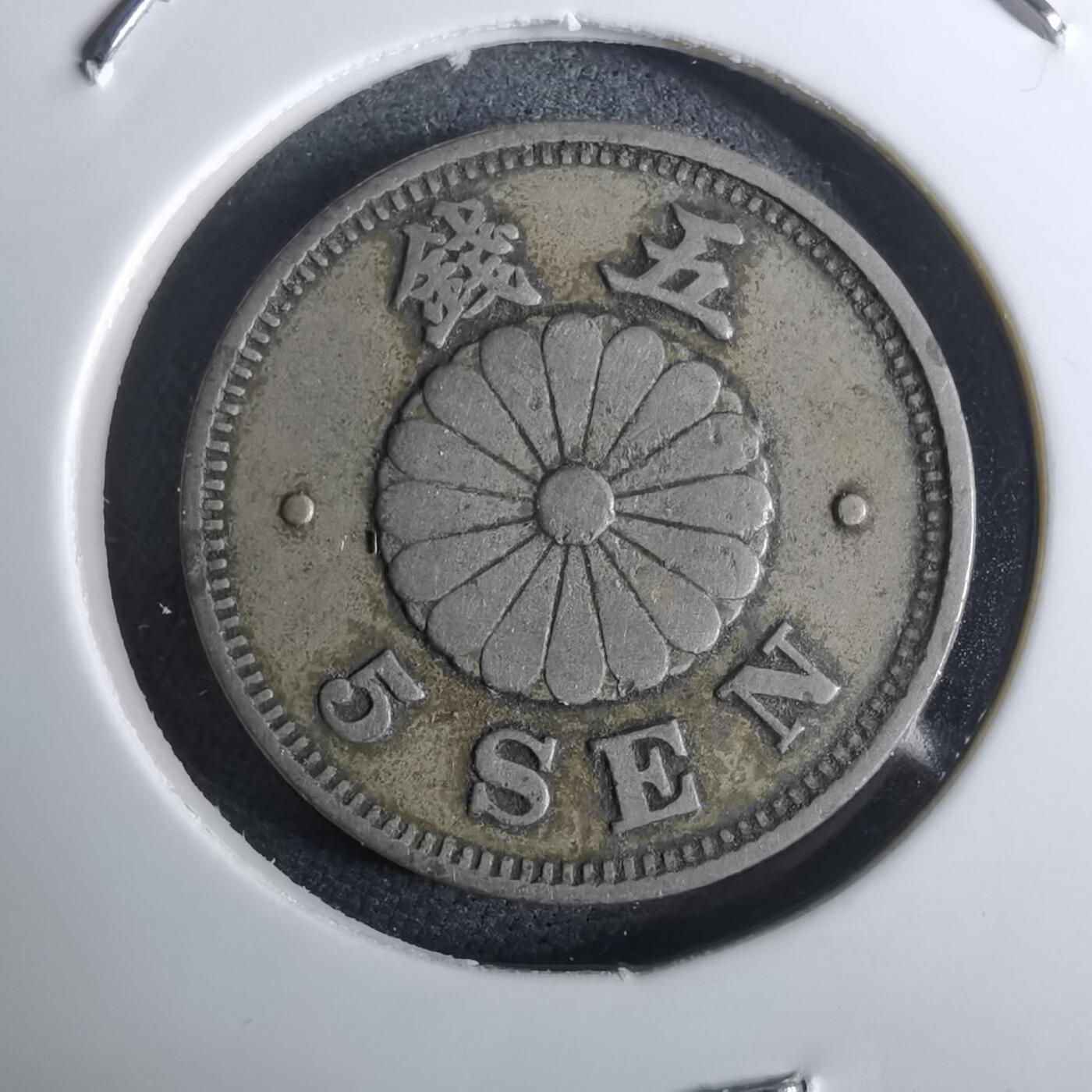 沼泽如烟--第962场