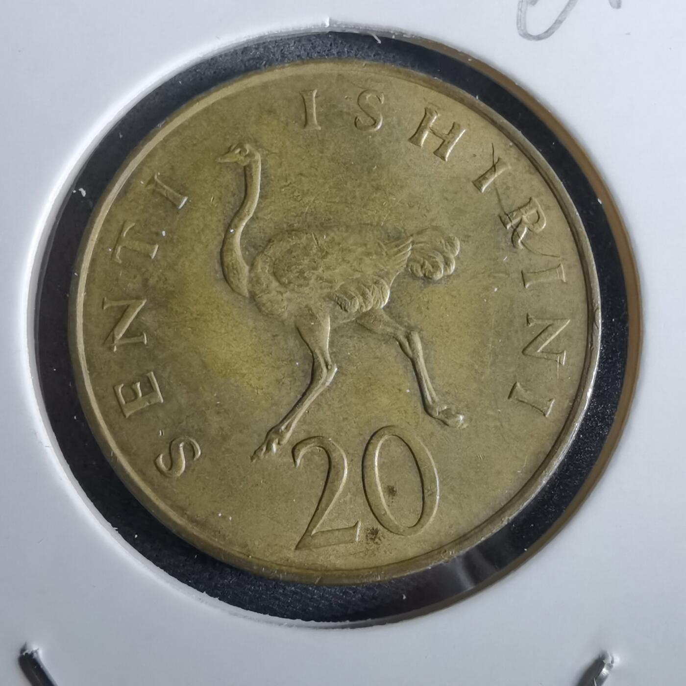 沼泽如烟--第961场