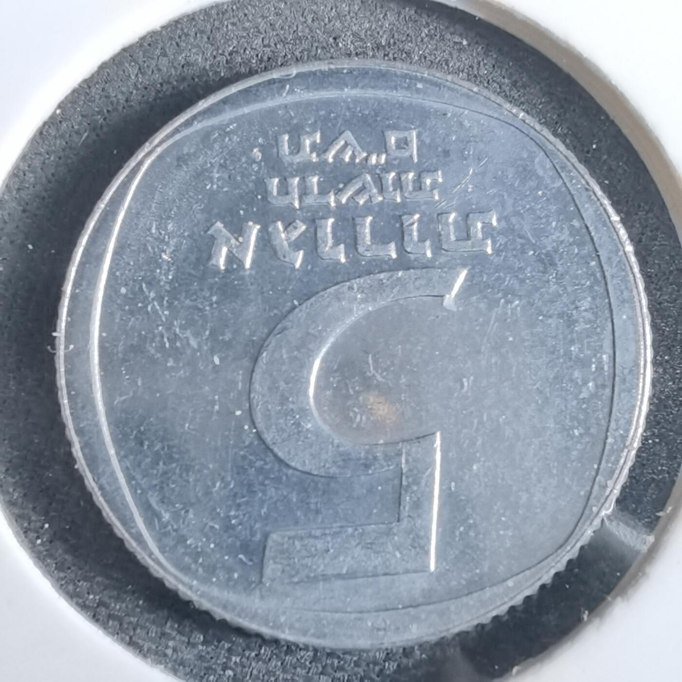 沼泽如烟--第961场