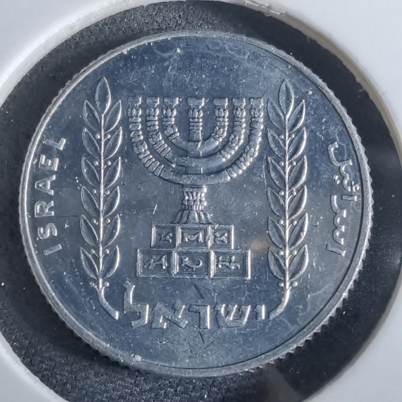 沼泽如烟--第961场