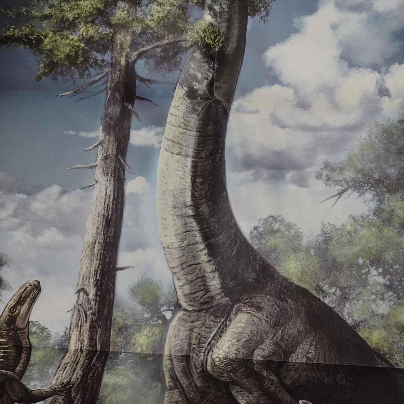 【全场包邮】纯粹捡漏拍495场-持续更新中 【邮票】邮票书系列-中国恐龙邮票