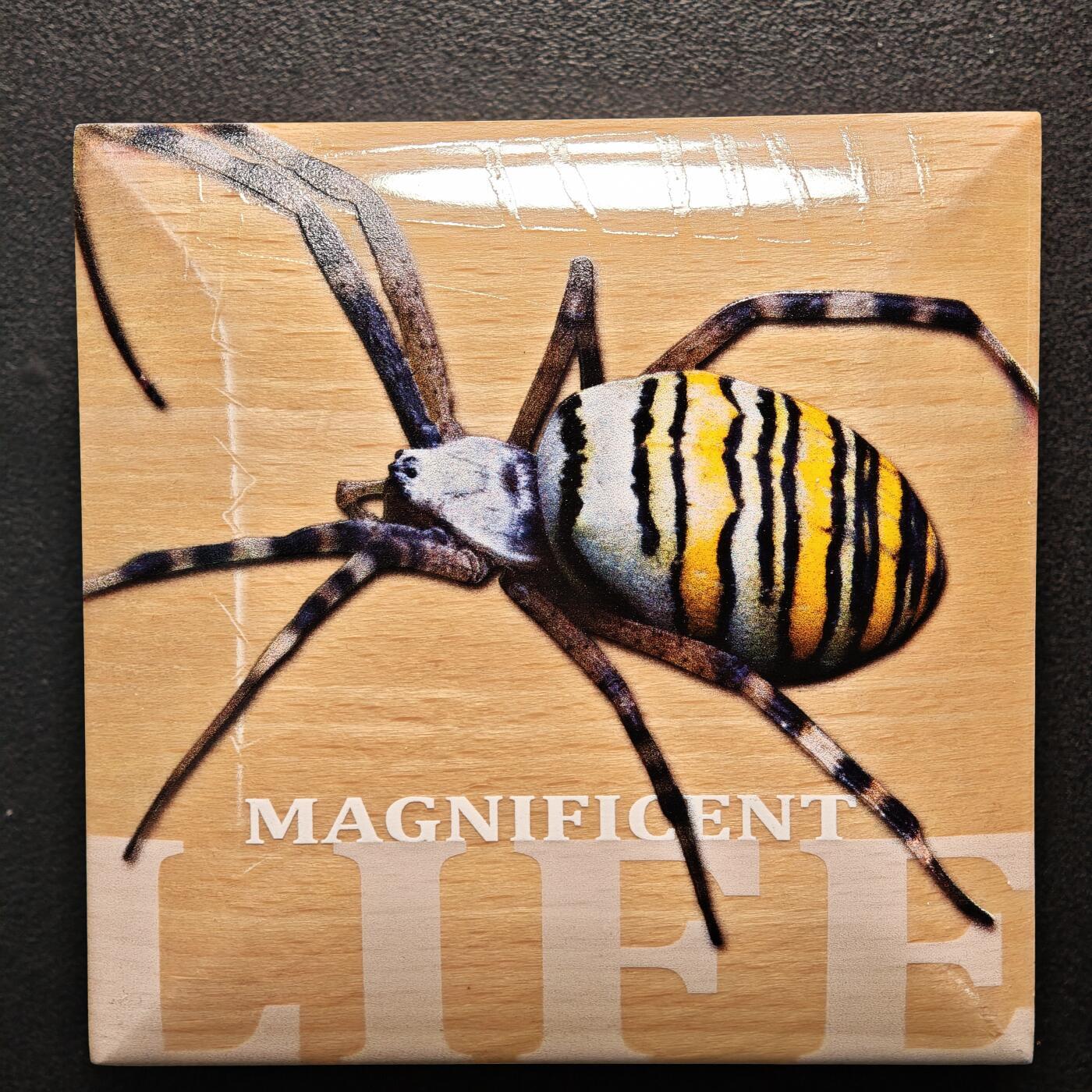 【德藏】世界币章拍卖第162期（拍品征集中~欢迎藏友联系） 2016年 库克黄蜂蜘蛛彩色高浮雕弧形纪念银币 原盒 原证书 38.61mm 1盎司 999银