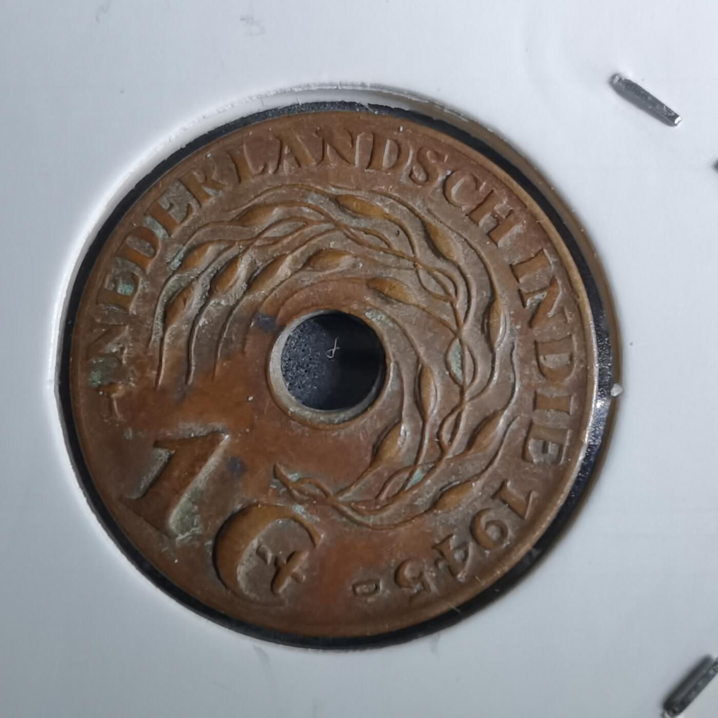 沼泽如烟--第962场