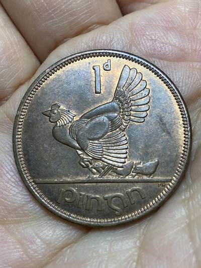 2026年第八场(总第一百七十七场）外国好品散币场(免佣金) - 爱尔兰🇮🇪1966年1便士(共和国时期第一套)