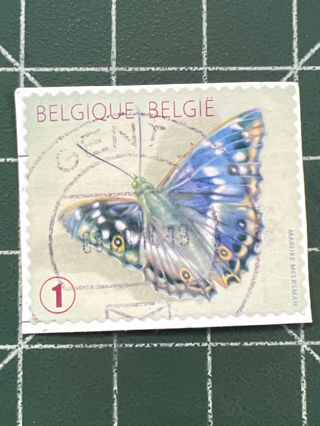 第1102 邮票专场 （无押金，捡漏，全场50包邮，偏远地区除外，接收代拍业务，本店十天发一次货） 比利时邮票