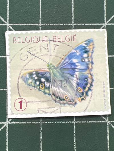 第1102 邮票专场 （无押金，捡漏，全场50包邮，偏远地区除外，接收代拍业务，本店十天发一次货） - 比利时邮票