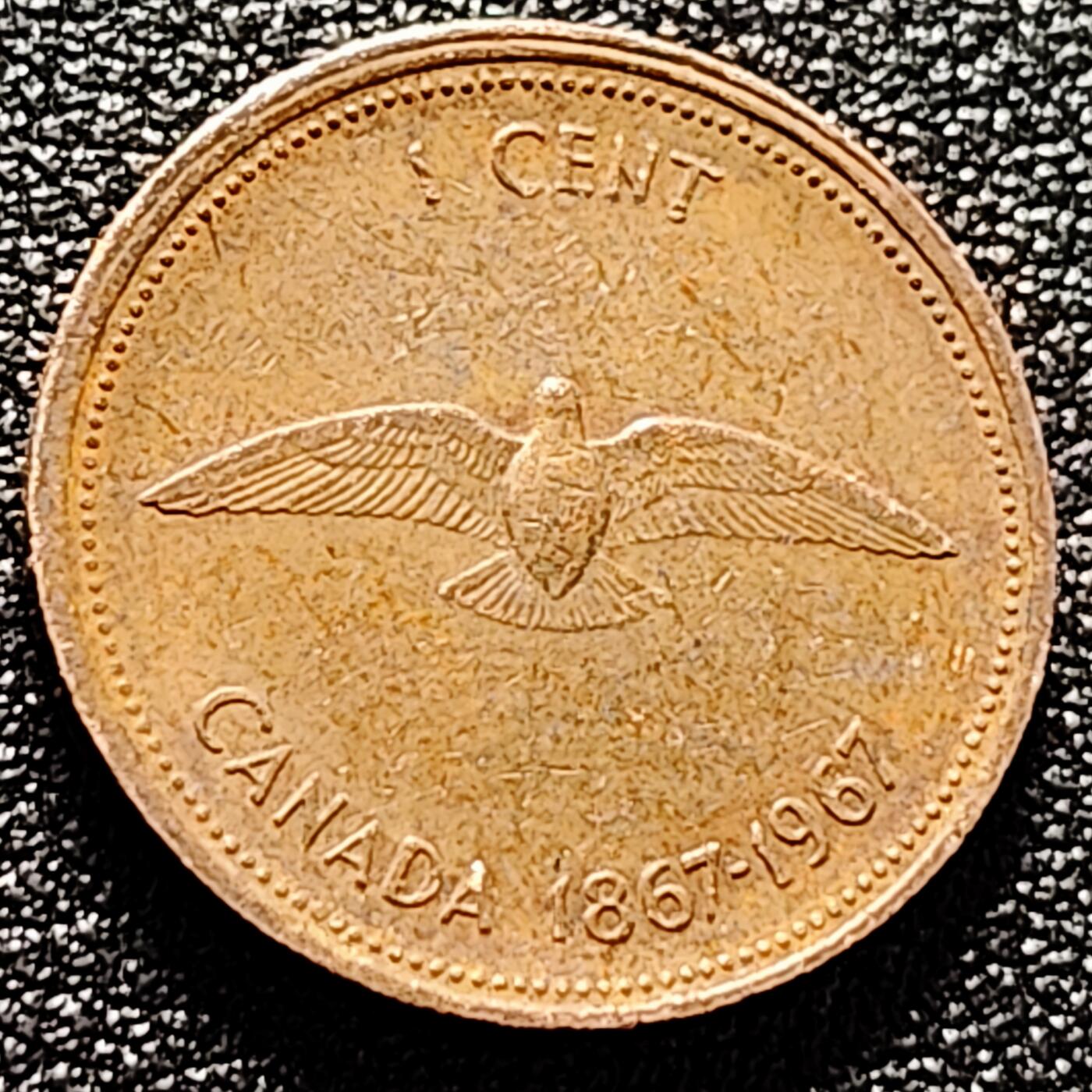 泉币菌-第170场- 精品福利场 。