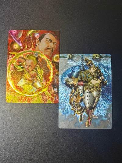 NO.21 好又多金牌大场，新店点关注不迷路！每周一站式配齐，方便凑单！（周6晚8点截拍，卖家送拍0抽成！） - 奇点卡牌 山海逆战最新2张 粗闪