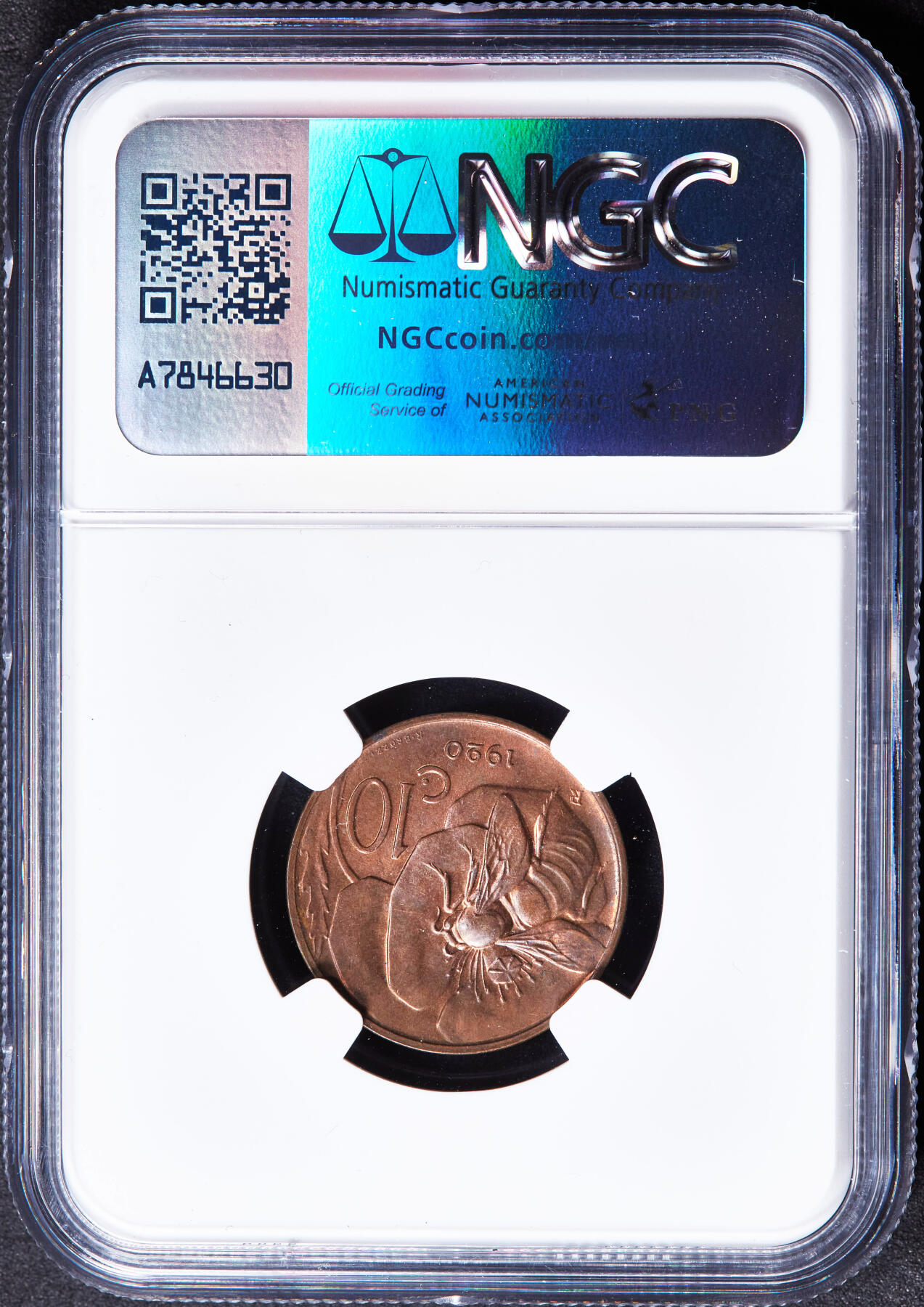 【俄甄集藏】“万象更新、马呈祥瑞”迎新春俄甄精品场-2026年(047)01-21 星期三 晚 19:30 全场包邮 意大利1920年R版伊曼纽尔三世蜜蜂10分铜币，NGC MS63RB，转光品相，钱币史上十分经典的设计，热门品种