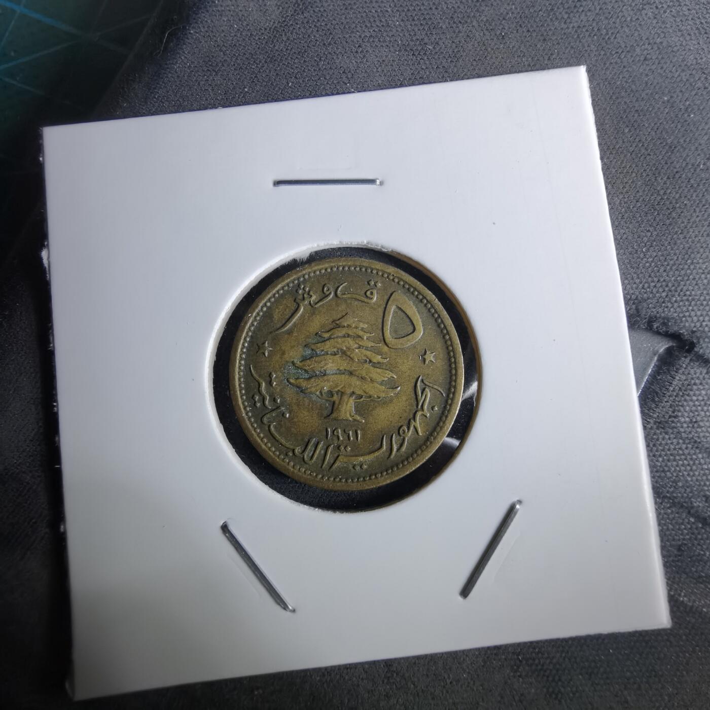 沼泽如烟--第961场