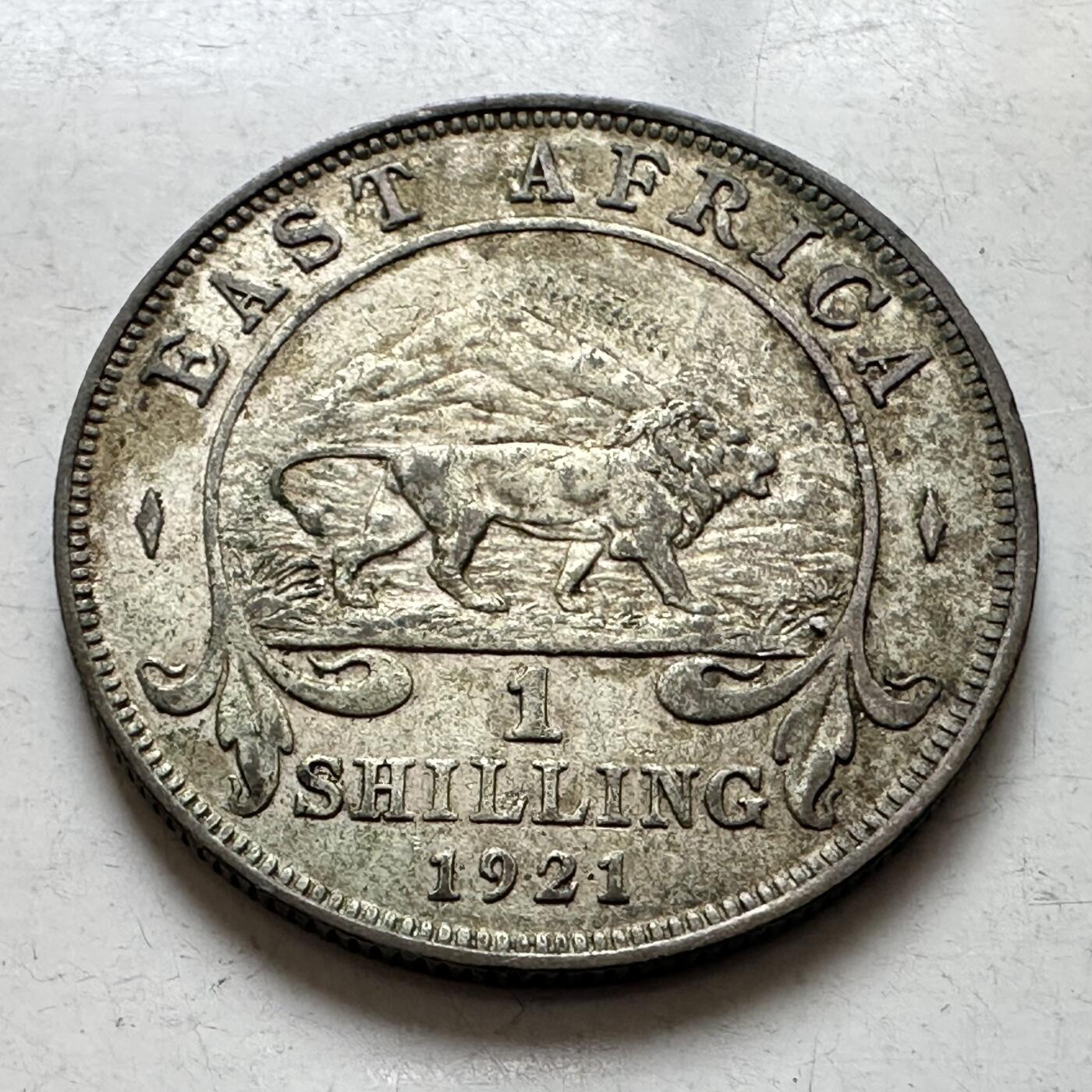 🌹外币初藏🌹🐯2026年第8场  每周二四六晚8️⃣点 接代拍 英属东非1921年一先令银币