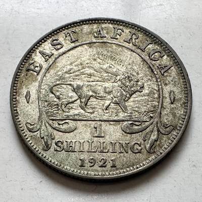 🌹外币初藏🌹🐯2026年第8场  每周二四六晚8️⃣点 接代拍 - 英属东非1921年一先令银币