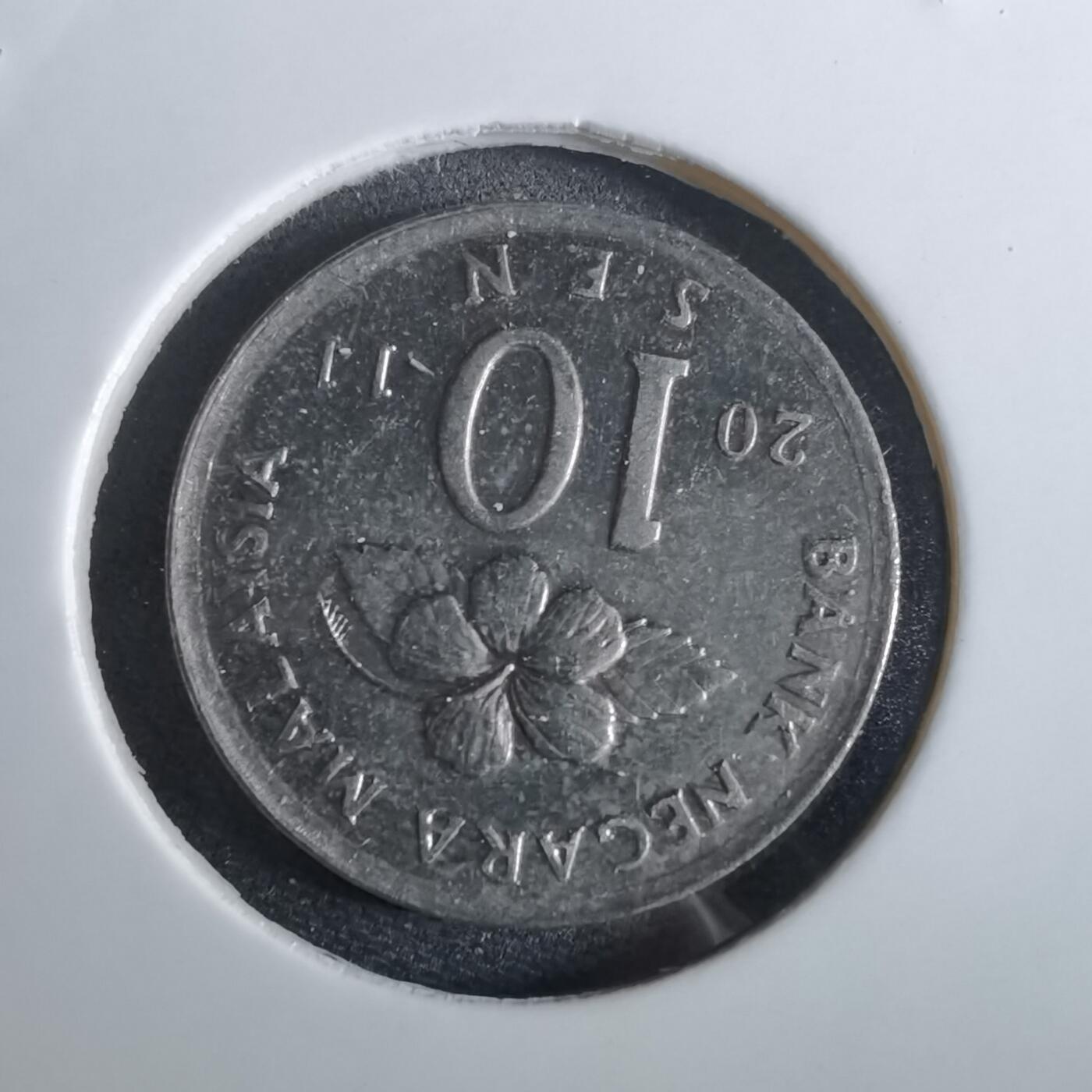 沼泽如烟--第961场