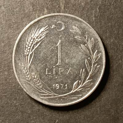 逸泉钱币2026A世界散币纸币纪念币专场A第一场 - 377 土耳其1里拉