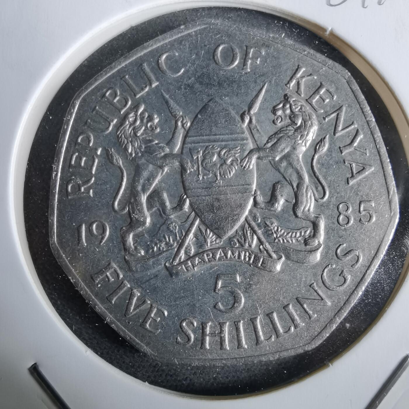 沼泽如烟--第961场