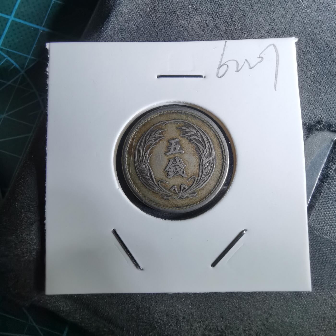 沼泽如烟--第962场