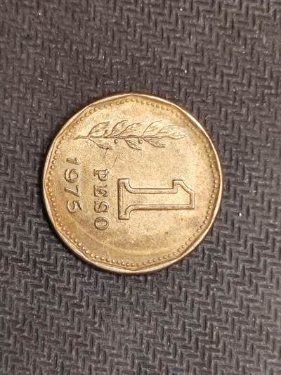 逸泉钱币2026C世界钱币纪念币专场第二组C1-400件 - 299阿根廷1比索