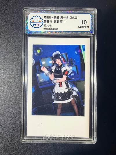 NO.21 好又多金牌大场，新店点关注不迷路！每周一站式配齐，方便凑单！（周6晚8点截拍，卖家送拍0抽成！） - 海温利×美酱 美酱16 家政师-1 10G