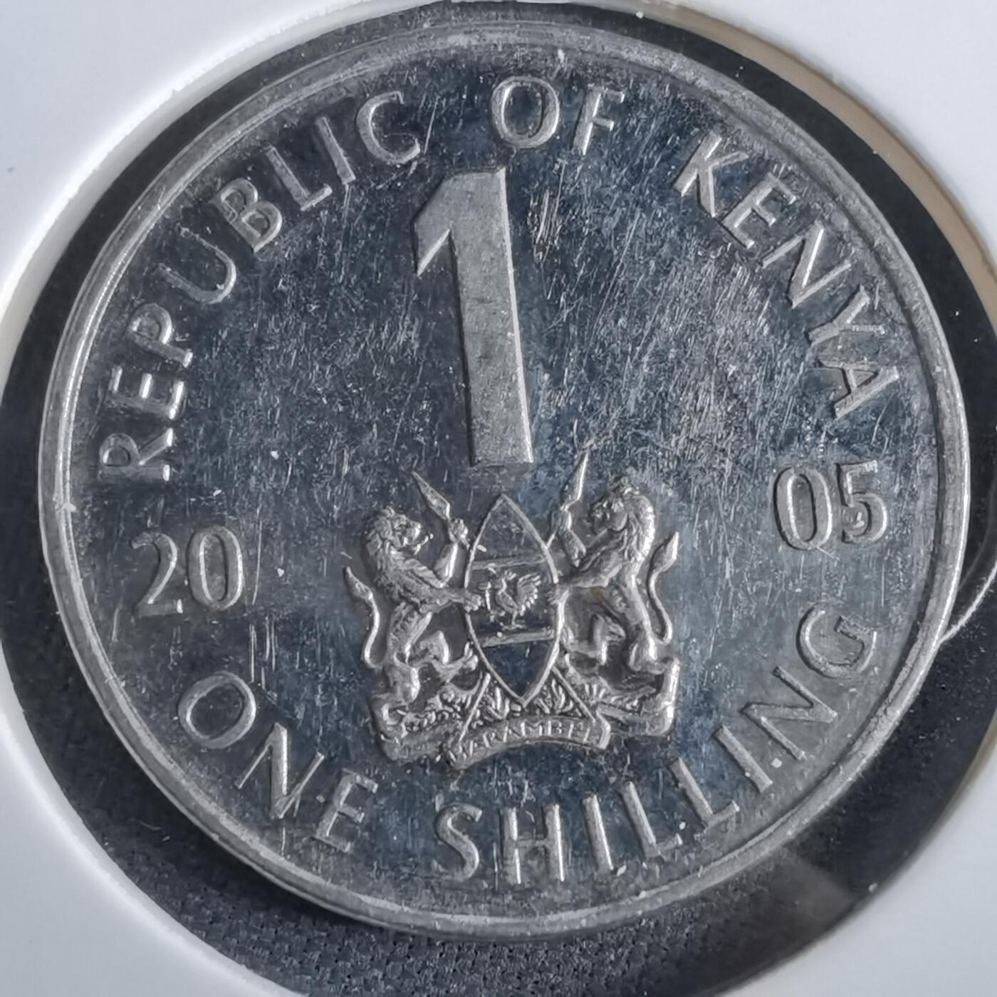 沼泽如烟--第961场