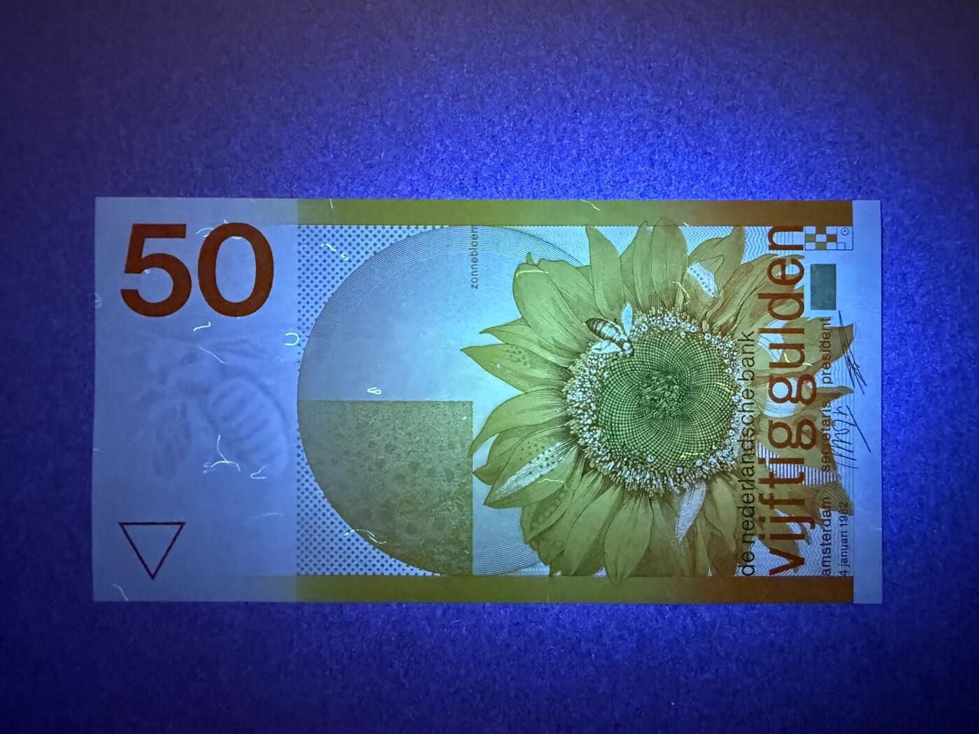 《艾美收藏》第229期-1.18周日外币荟萃 荷兰50盾 UNC 1982年 经典向日葵