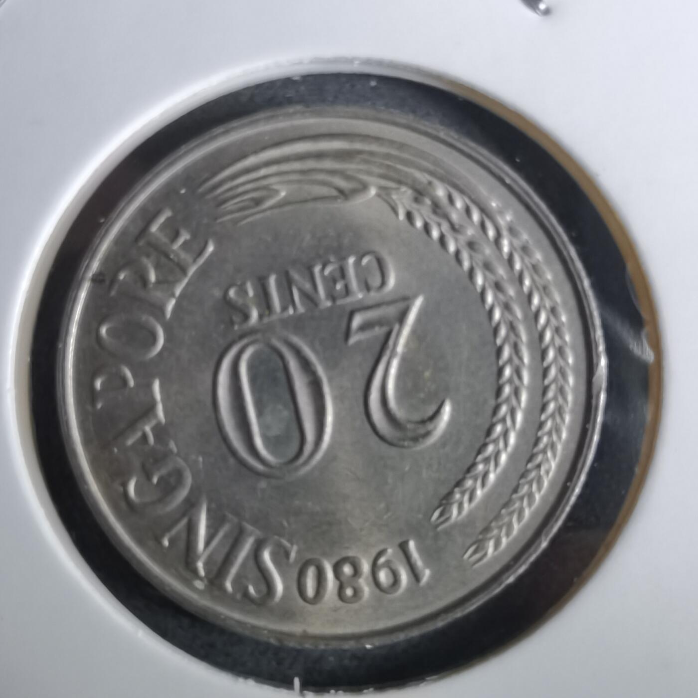 沼泽如烟--第961场