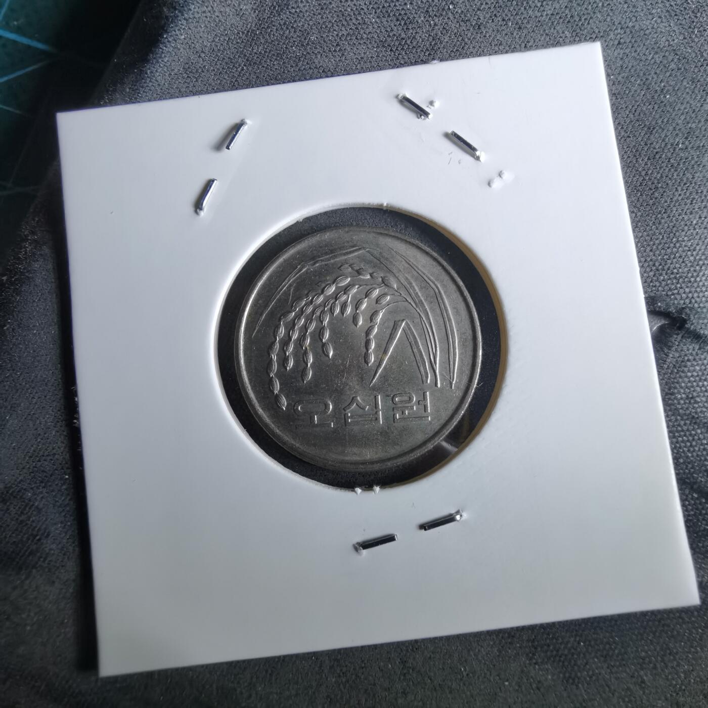 沼泽如烟--第961场