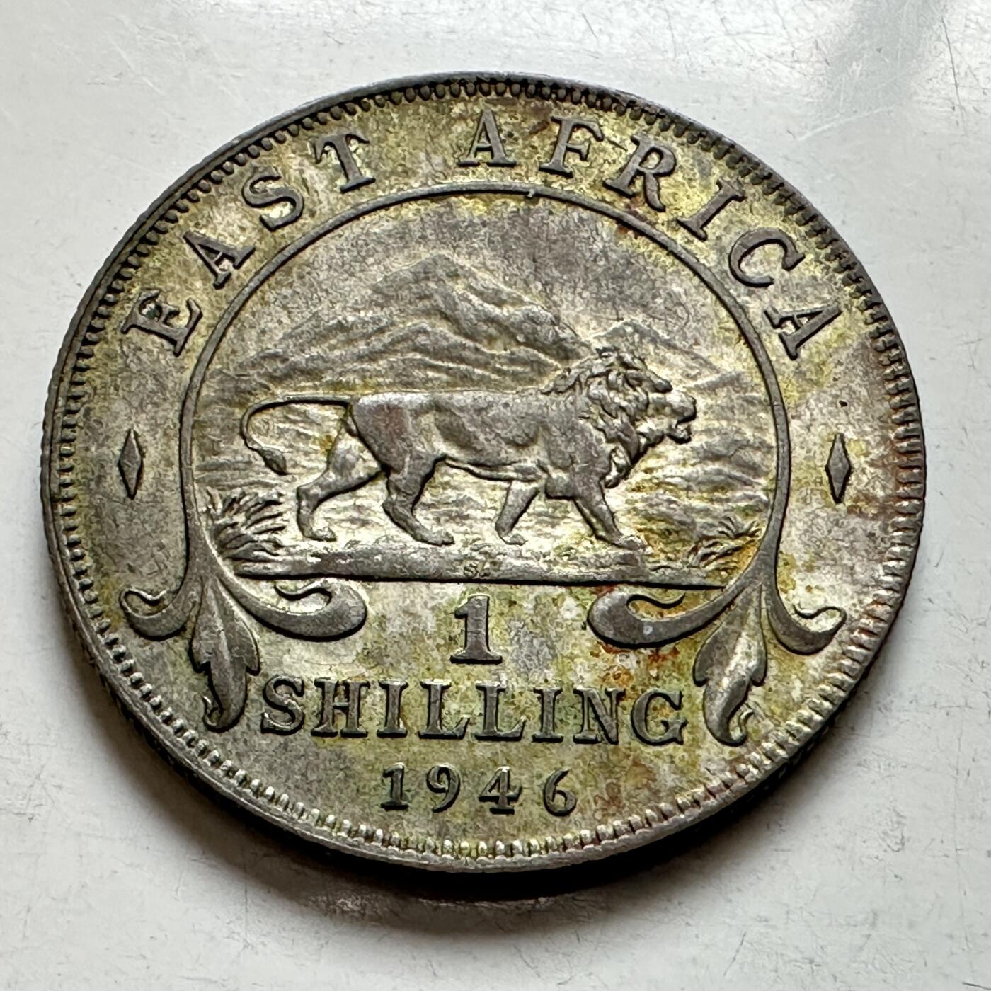 🌹外币初藏🌹🐯2026年第8场  每周二四六晚8️⃣点 接代拍 英属东非1946年一先令银币