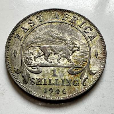 🌹外币初藏🌹🐯2026年第8场  每周二四六晚8️⃣点 接代拍 - 英属东非1946年一先令银币