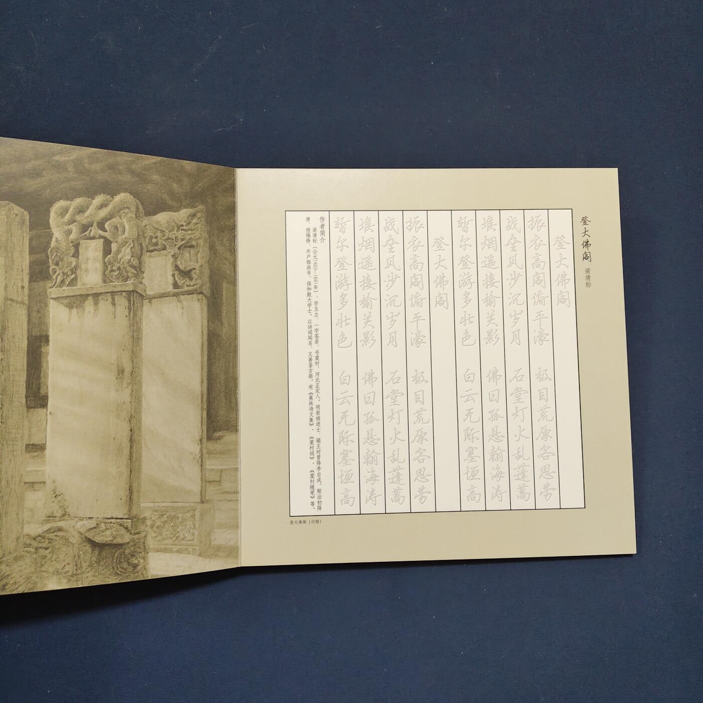 【全场包邮】纯粹捡漏拍495场-持续更新中 【邮票】邮票书系列-隆兴寺（非常精彩）