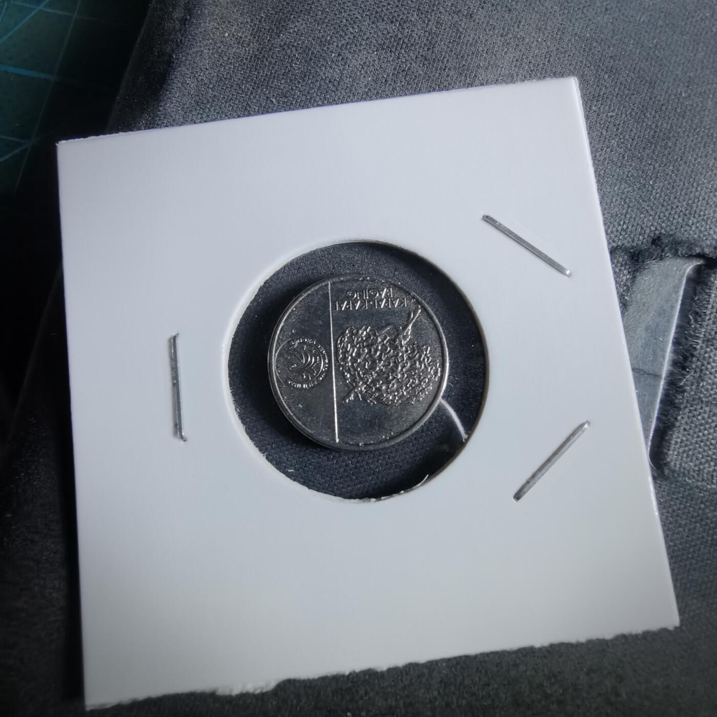 沼泽如烟--第961场