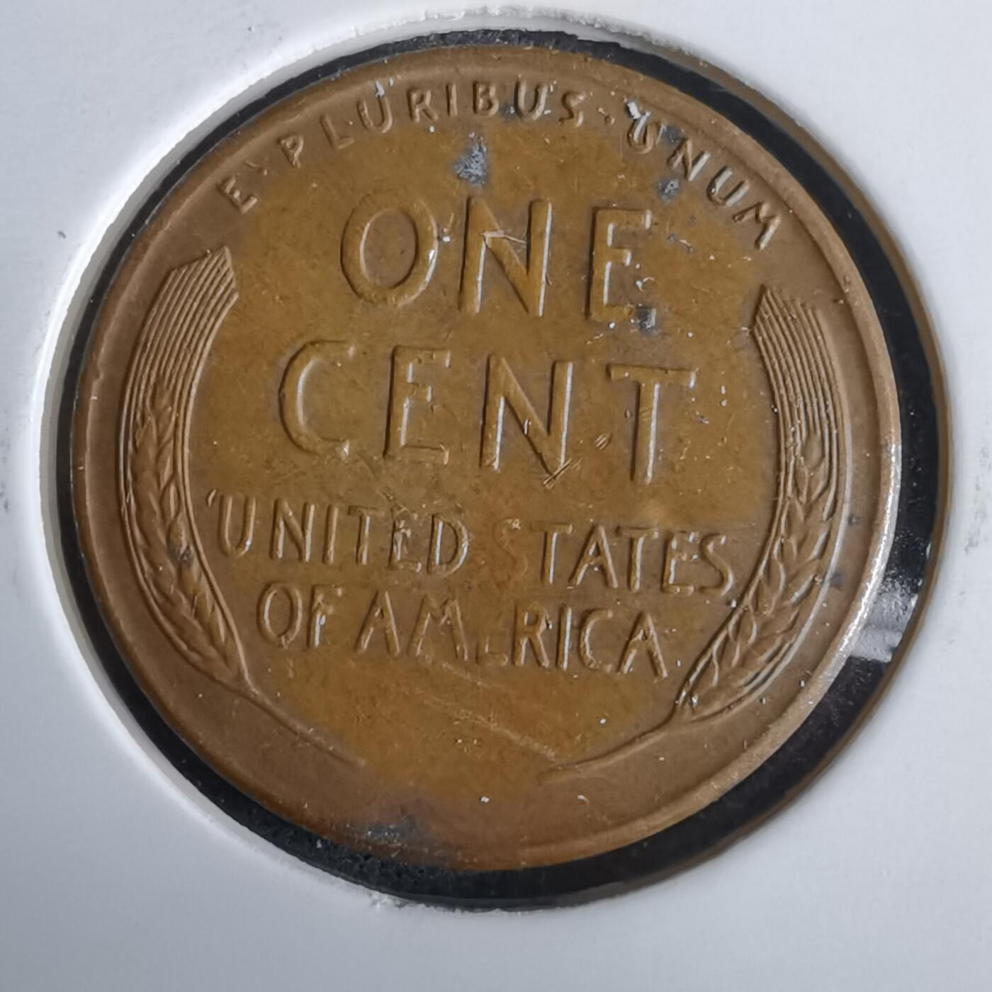 沼泽如烟--第961场 美国1954年一分