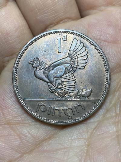 2026年第八场(总第一百七十七场）外国好品散币场(免佣金) - 爱尔兰🇮🇪1965年1便士(共和国时期第一套)