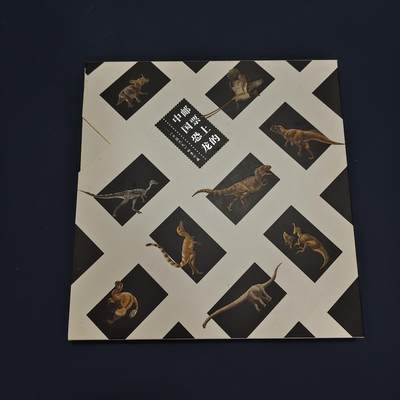 【全场包邮】纯粹捡漏拍495场-持续更新中 - 【邮票】邮票书系列-中国恐龙邮票