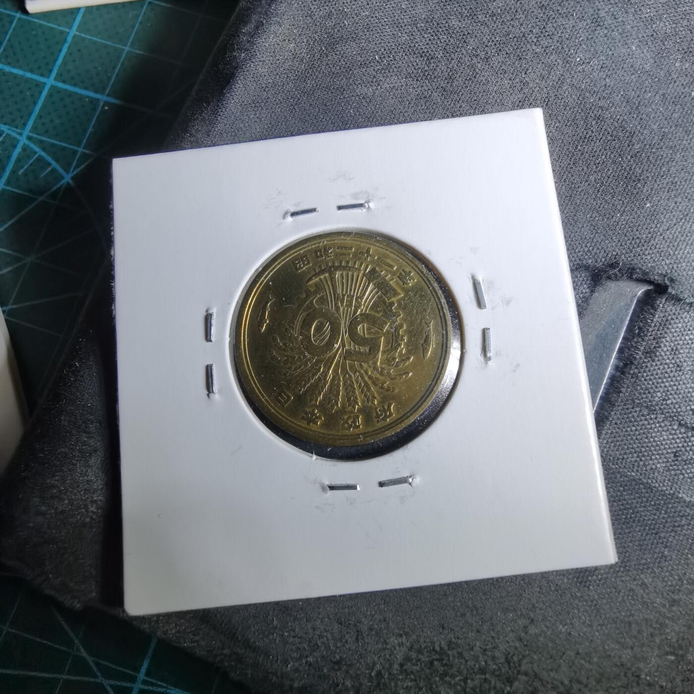 沼泽如烟--第962场