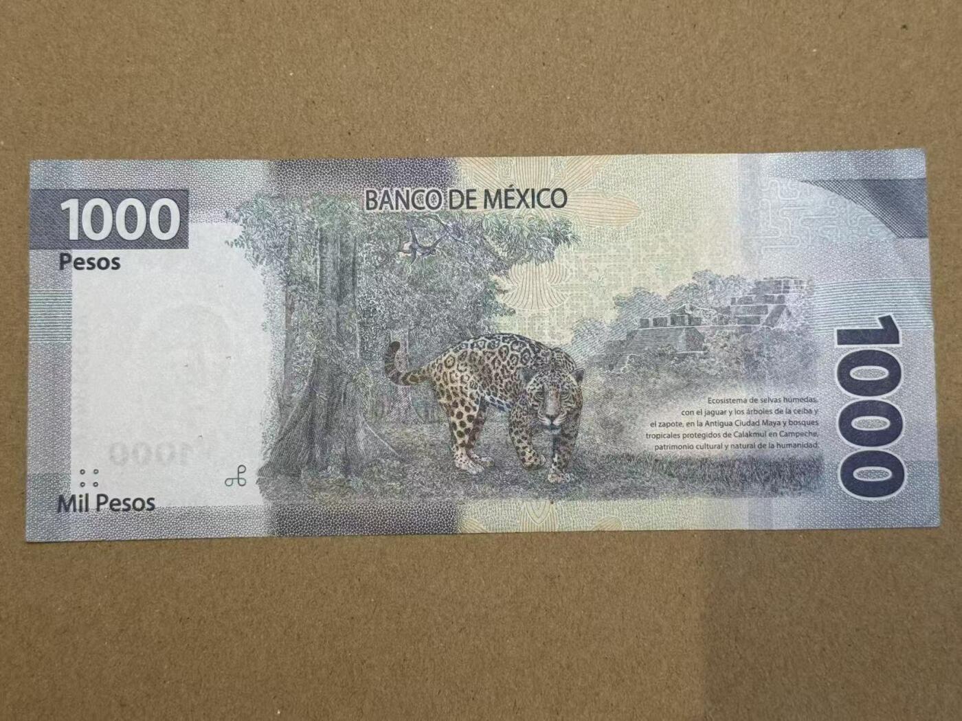 【礼羽收藏】🌏世界钱币拍卖第120期