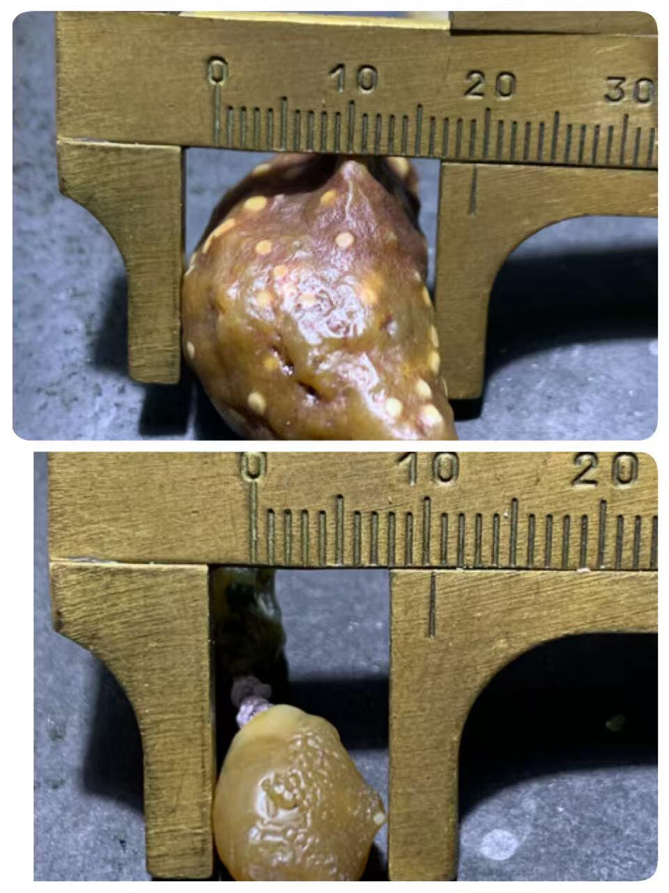 精美阿拉善多彩筋脉石玛瑙高玉化鱼籽纹吊坠项链一条，