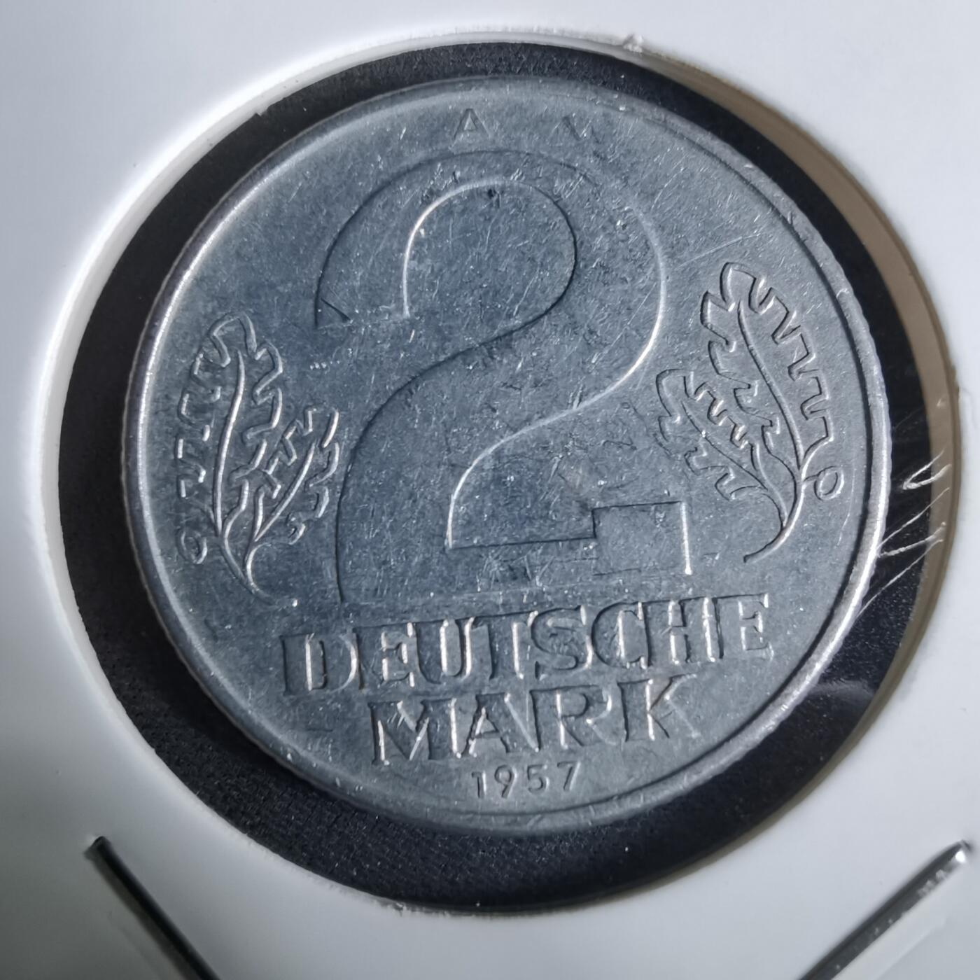 沼泽如烟--第961场