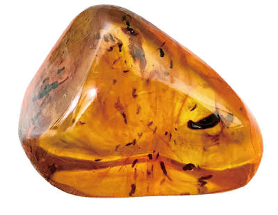 上海拍卖行2025年秋季古董珍玩拍卖会 - 琥珀随形手把玩