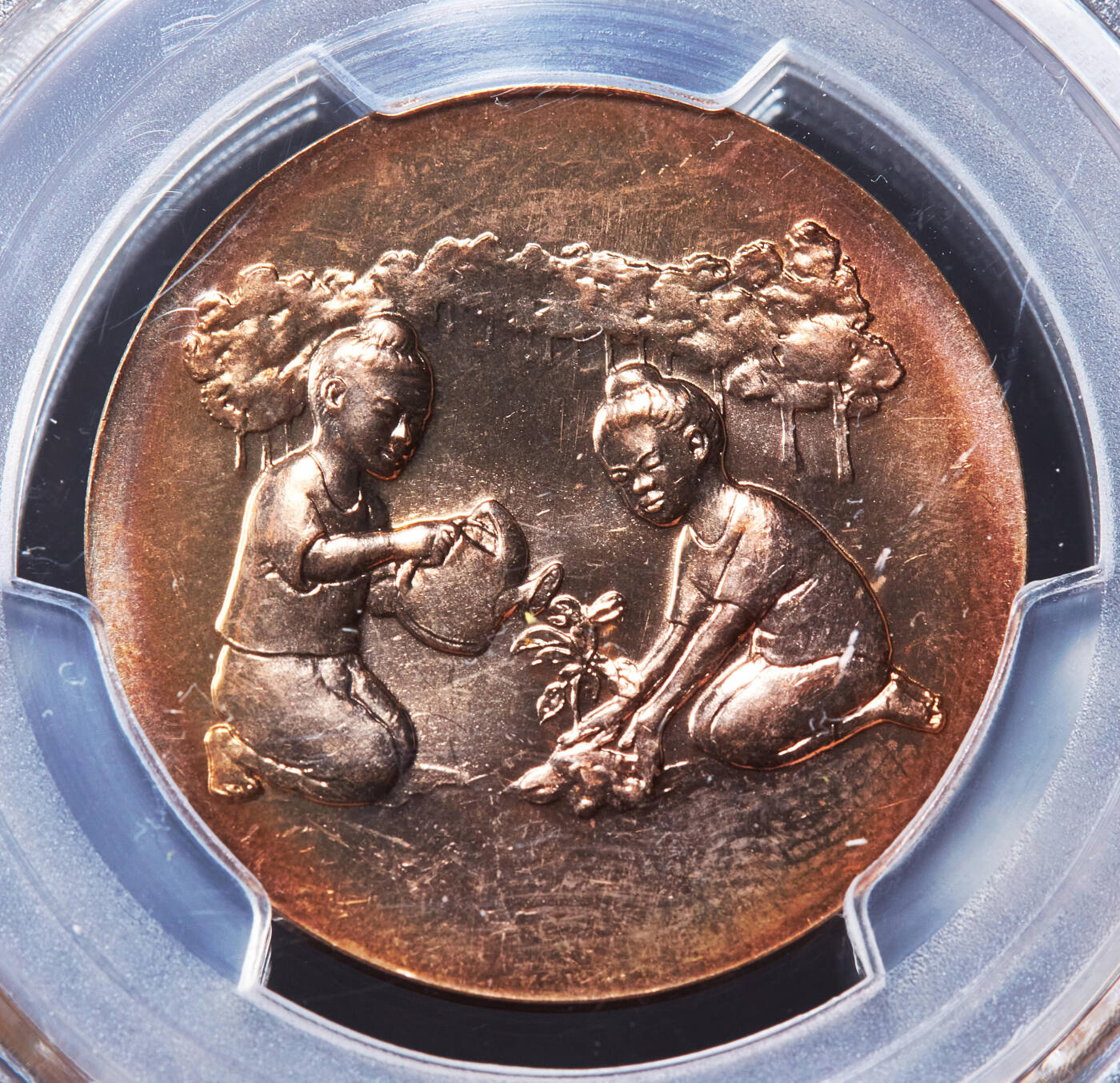 【俄甄集藏】“万象更新、马呈祥瑞”迎新春俄甄精品场-2026年(047)01-21 星期三 晚 19:30 全场包邮 泰国2008年儿童节植树主题造币厂纪念铜章，PCGS MS65RD，原铜光