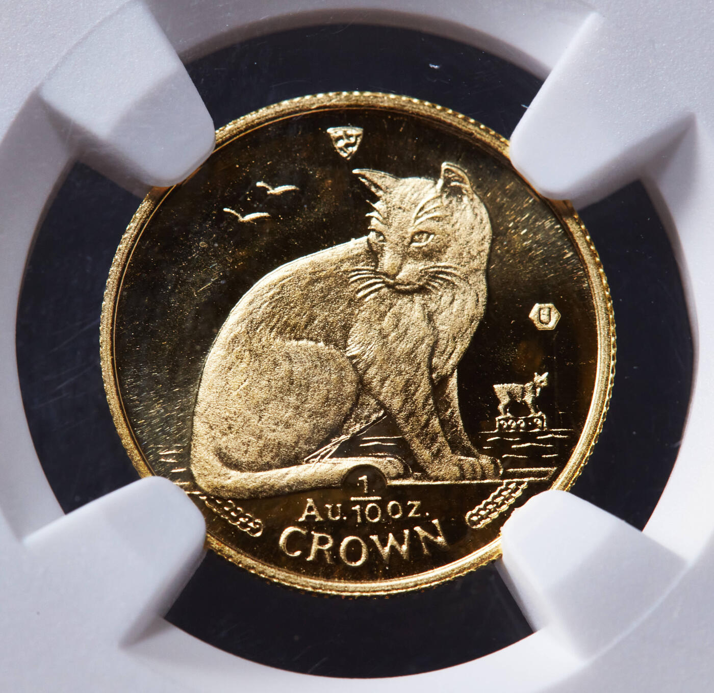 【俄甄集藏】“万象更新、马呈祥瑞”迎新春俄甄精品场-2026年(047)01-21 星期三 晚 19:30 全场包邮 英属马恩岛1990年PM版猫系列-纽约短毛家猫（巷猫）1/10克朗金币，NGC MS66，重3.11克，999金，类精制底板