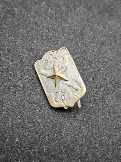 0元起拍勋章 第326期 咸鱼国勋章拍卖专场 1月18日（周日）下午6：00开始 - 战时在乡军人会徽章